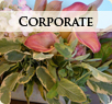 portfolio corporate