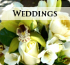 portfolio weddings