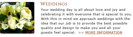 weddings